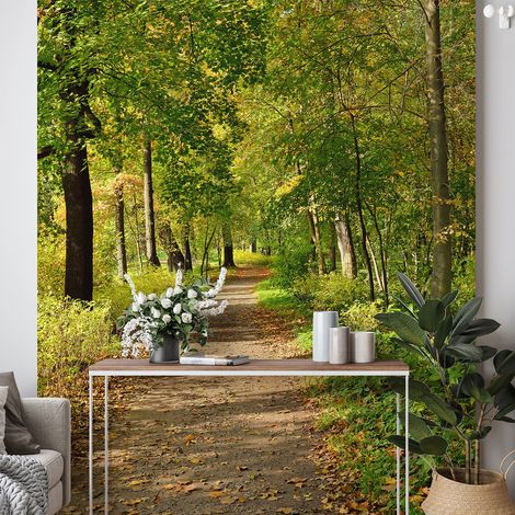 Papier peint panoramique - Chemin Forêt - 260 cm x 392 cm (1/4)
