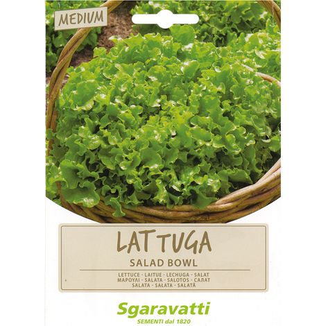 SEMI PER ORTAGGI E VEGETALI lattuga salad bowl Q.TA 20 lattuga salad bowl