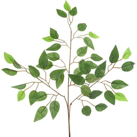 Ramo di foglie triplo benjamina verde 60 cm (1/2)
