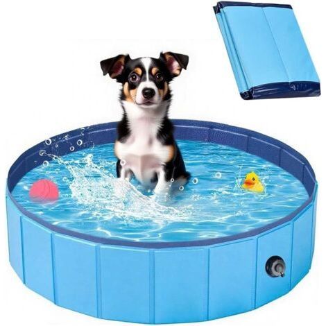 Piscine Pliable,80 20 CM Piscine Chien Rigide,Pataugeoire Chien Portable-PVC épais et Antidérapant,Résistant à l'usure-pour Les Chiens et Les Enfants Qui Jouent dans l'eau-Chrom (1/5)