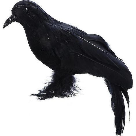 1 jouet oiseau corbeau (1/3)