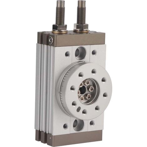 180 Degrees Rotary Pneumatic Air Cylinder MSQB-20R With Buffer