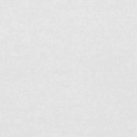 Vliestapete - Forest Dreams - Grau Uni Einfarbig Erismann - 1056310 (1/5)