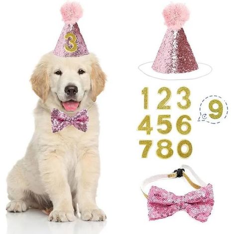 Chapeau d’anniversaire pour chien et chat, kit fête ajustable avec nœud papillon et chiffres 0-9 rose pailleté (1/5)