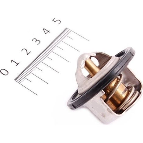 Yamaha 2YK-12411-00 Termostato de radiador TDR 240 88