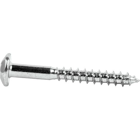 Tornillo inviolable torx30 m-7x50