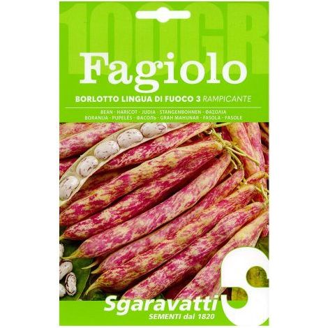 SEMI PER FAGIOLI fagiolo borlotto rampicante lingua di fuoco 3 - gr 100 5 PZ