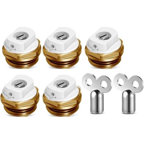 complet de valve d a ration de radiateur 5 valves avec 2 cl (1/5)