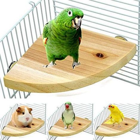 Cage à Oiseaux Perche Support Plate-Forme en Bois Forme de Ventilateur Perroquet Terrain de Jeu Cage Accessoires pour Oiseau Perroquet Hamster écureuil Debout (1/5)