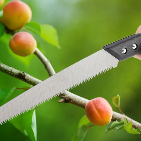 Scie à main de jardin pour l'élagage extérieur, outil de sciage pour le travail du bois et le jardinage (1/5)
