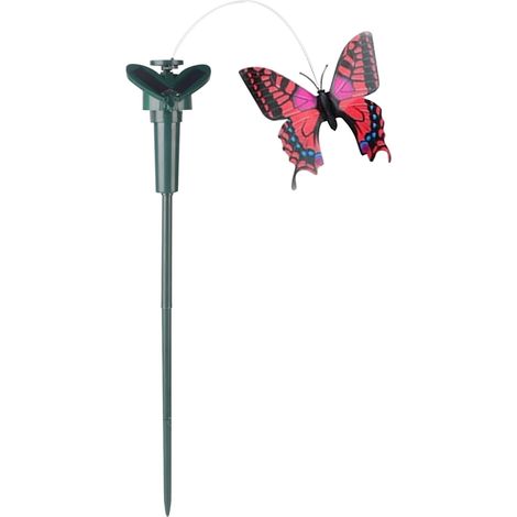 flacher Schmetterling flacher Solar Schmetterling