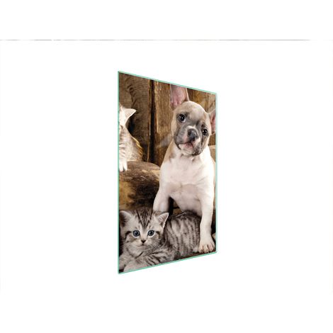 Glasschneidebrett 35x52 Hund (1/5)