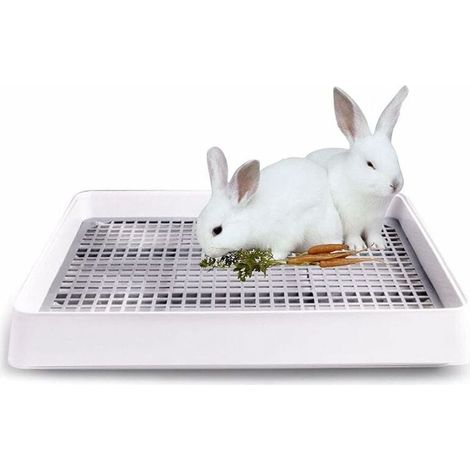 Linghhang – Bac à litière extra large pour lapin et chat – Dimensions 38,3 x 30,9 x 6,5 cm – Plastique PP durable – Conception peu encombrante (1/5)