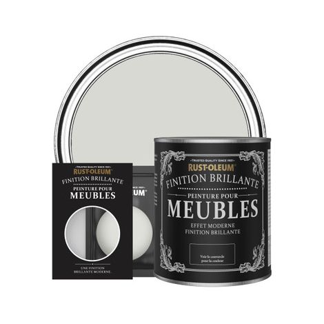 Peinture pour Meubles Brillante - Gris d'Hiver (1/2)