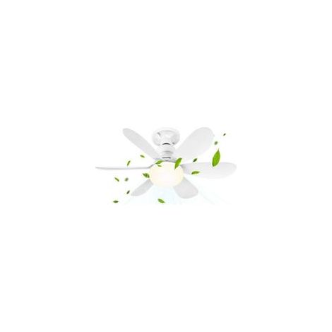ACKERMAN-Ventilateur de plafond avec éclairage LED et télécommande, modèle petit de 52 cm, 40 W, douille E27, idéal pour la chambre (1/4)