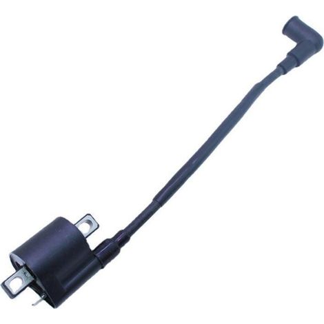 Hochspannungsspule für Tohatsu 2-Takt 4/5 PS Außenbordmotor - Kompatibel mit 369-06050-2. (1/5)