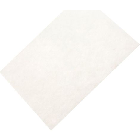 Filtro de motor 432200493931 PHILIPS