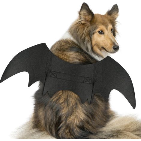 Costume d'halloween pour Animaux de Compagnie, Costumes de Chauve-Souris de Chien, Ailes Chauve Souris Chat, Deguisement Chien Halloween pour Halloween Habiller, Décoration de Fête (S) (1/5)