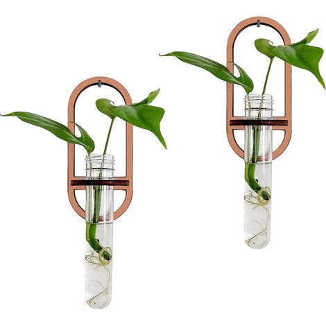 Terrarium mural en forme de tube à essai, support multiplication avec bois, vase suspendu pour. (1/5)