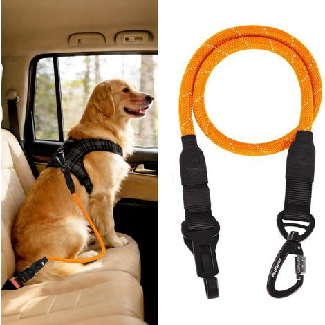 Hunde-Sicherheitsgurt für Auto, verstellbar, 95cm, orange (1/5)