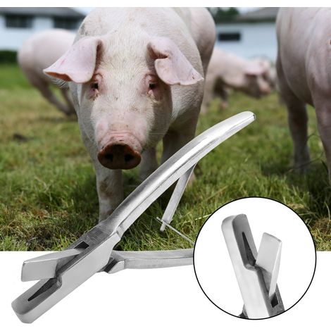 Pince à étiquettes auriculaires pour porcs en acier inoxydable (forme en V) - Matériel porcin - Animaux de ferme (1/5)