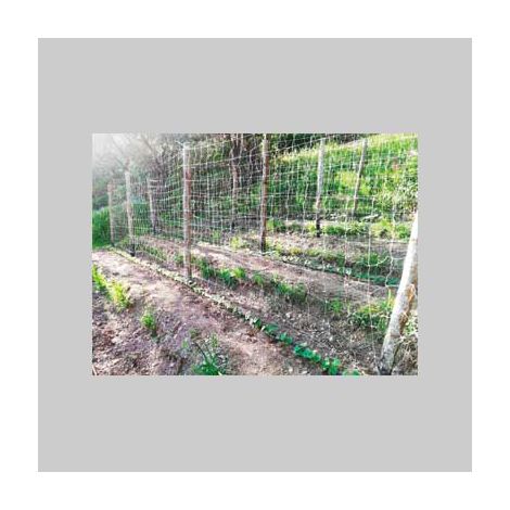 Rete rampicante ideal star 1,7x100 mt - colore bianco