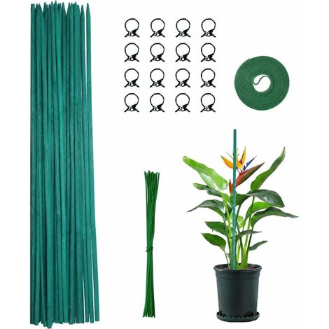 Tuteurs en bambou de 45 cm avec clips, lot de 20 pour le jardinage et le support des plantes (1/5)