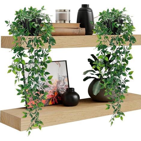 Lot de 2 plantes artificielles en plastique, pots inclus. Idéales pour le salon, la chambre, le couloir, la cage d'escalier (1/5)