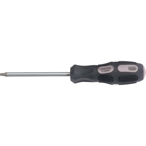 Draper Expert Draper TX-STAR&174 Driver T25 x 100mm Long (40053) (1/5)