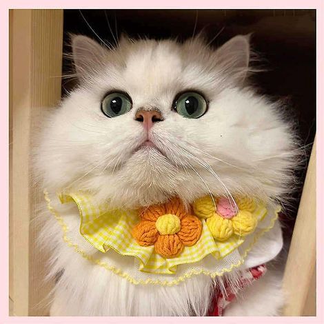 (marguerites Dores)petit Bavoir Broderie Triangle Vtements La Mode Costume Avec Rglable Scraft Bavoirs Pour Animaux De Compagnie Chiens Accessoir (1/3)