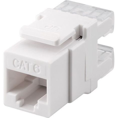Modulo Keystone RJ45 CAT 6, UTP, 250 MHz, larghezza 16,7 mm, Presa RJ45 (8P8C). (1/3)