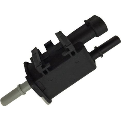 1 x Électrovanne de purge, Canister d'évaporation, Plastique et métal, Pour véhicules 2004-2014 (1/5)