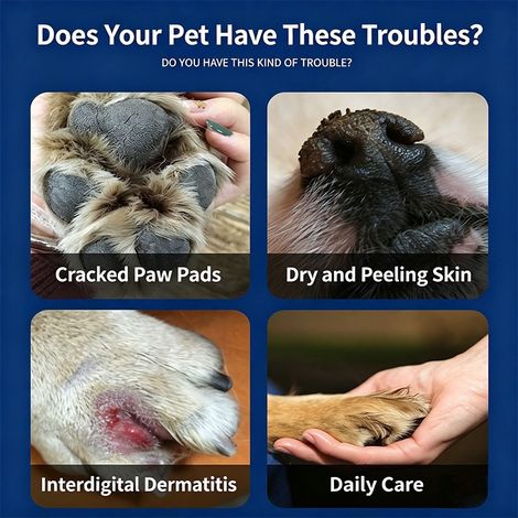 Baume pour coussinets de chats et de chiens, hydratant et nourrissant pour améliorer les coussinets secs et craquelés. -- AUTLEAD (1/4)