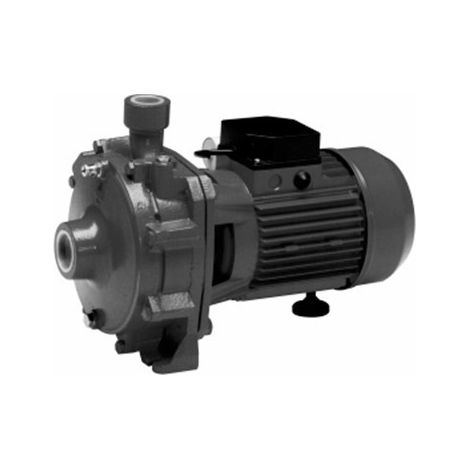 Elettropompa Bigirante 110/44 - 1,5 Hp