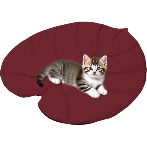 Generico Katzenbett 69 x 65 cm wasserdichtes Kissen für Haustiere Doppelseitig waschbar Thermo zum Schlafen Käfig Auto Bett Boden (1/5)