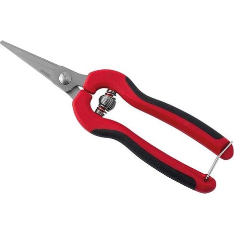 Forbice ideale per la vendemmia cogliuva 19 cm