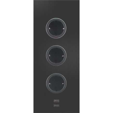 CARESSI Steckdosenelement 3ST29 3 Schukosteckdosen 2 USB-Charger schwarz