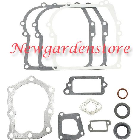 Serie segmenti kit guarnizioni BRIGGS&STRATTON 320024 391662 vecchi 4HP