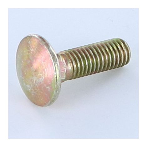 TRCC JAPY tête ronde collet carré M5X22 Filetage total COLCAR 6 Bichromaté-1 pièce
