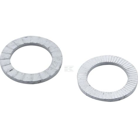 Set di rondelle (2) D17x25,4 CLEMENS CW520007800ACN