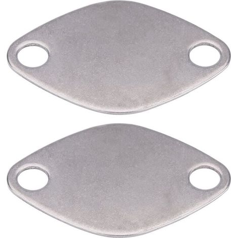 Kit de plaque de bloc d'obturation de vanne EGR pour RENAULT ESPACE LAGUNA MASTER TRAFIC VAUXHALL MOVANO