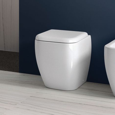 RAK Metropolitan Back to Wall Toilet 525mm Projection - Soft Close Seat (1/3)
