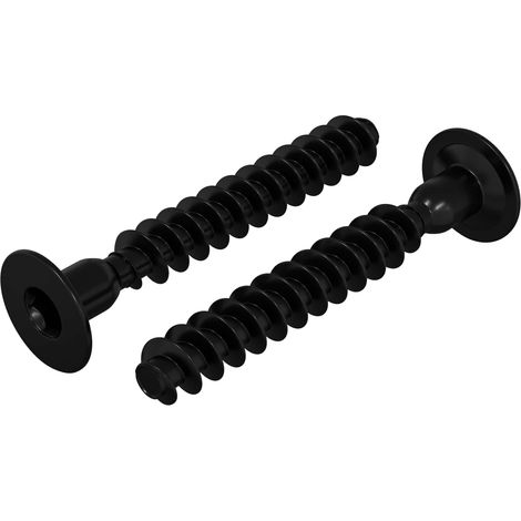 Tornillo de Cabeza de Capuchón de Enchufe 2 pcs Negro Hierro vidaXL