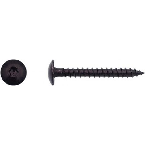 Vis pour penture Torx® Zingué noir - 6 x 40 mm - BIVI (1/2)