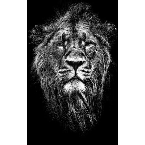 Tableau animaux portrait de lion noir et blanc - 50x80 cm (1/5)
