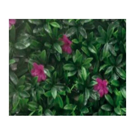 Jard铆n Vertical Malva 50X50 cm.
