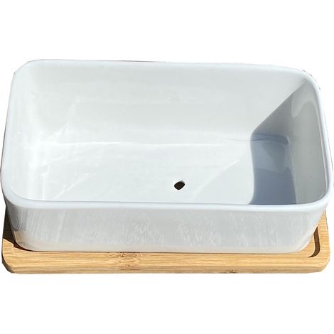 White Succulent and Cactus Trough Plant Pot (1/5)