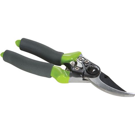 Secateur de jardin - lames en acier trempe (1/4)