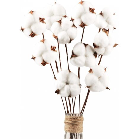 Pack Fleurs de Sechee Naturelle Sechees Tige Fleur Naturel Fausses Branches Plantes Décoration pour Balcon Coton (1/5)