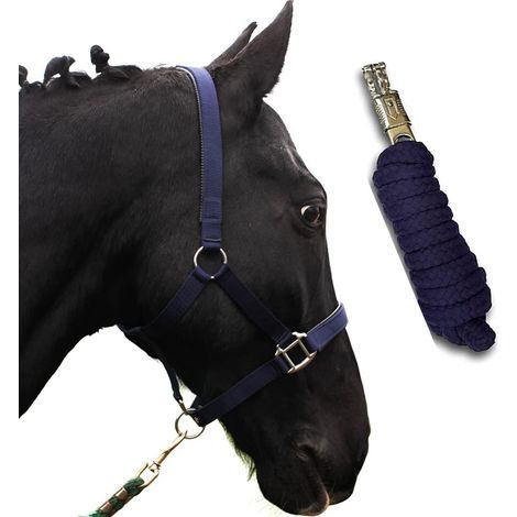 Pferdehalfter mit Strickband, 2 m Führstrick, in 2 Positionen verstellbar, Polypropylen, für Vollblutponys (1/5)